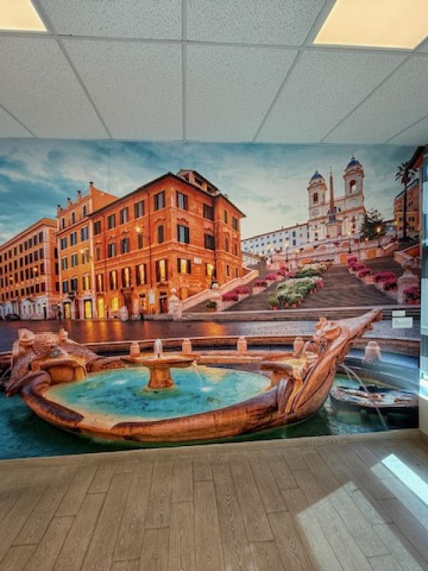 Vinyl Wall Murals